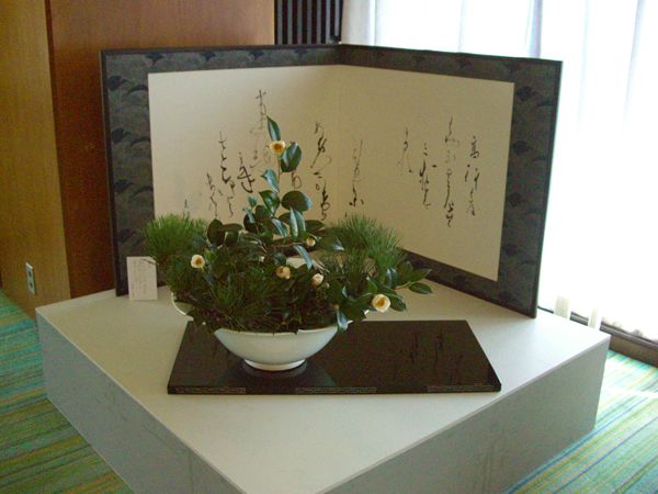 CIMG0641.JPG