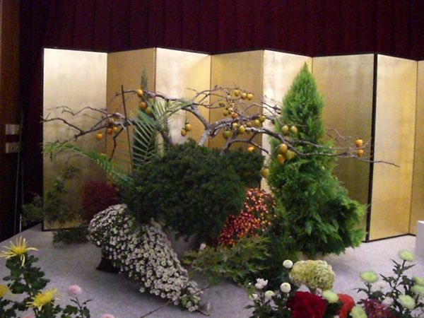 CIMG0714.JPG