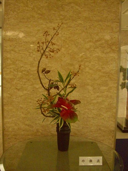 CIMG1078.JPG