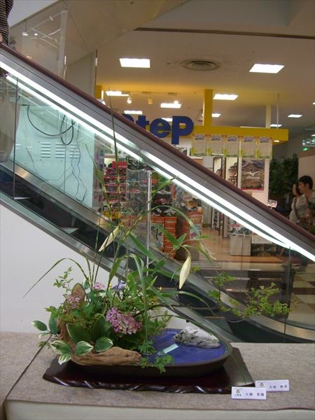 CIMG0154.JPG