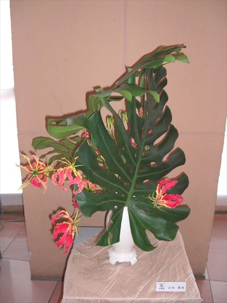 CIMG0063.JPG
