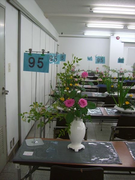 CIMG0153.JPG