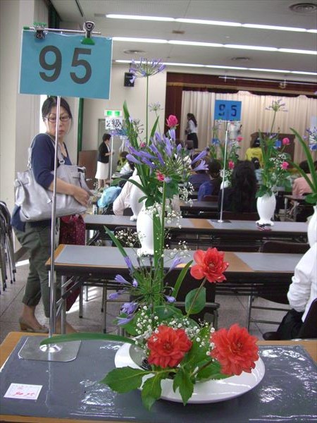 CIMG0191.JPG