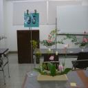CIMG0155.JPG
