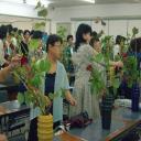 CIMG0256.JPG