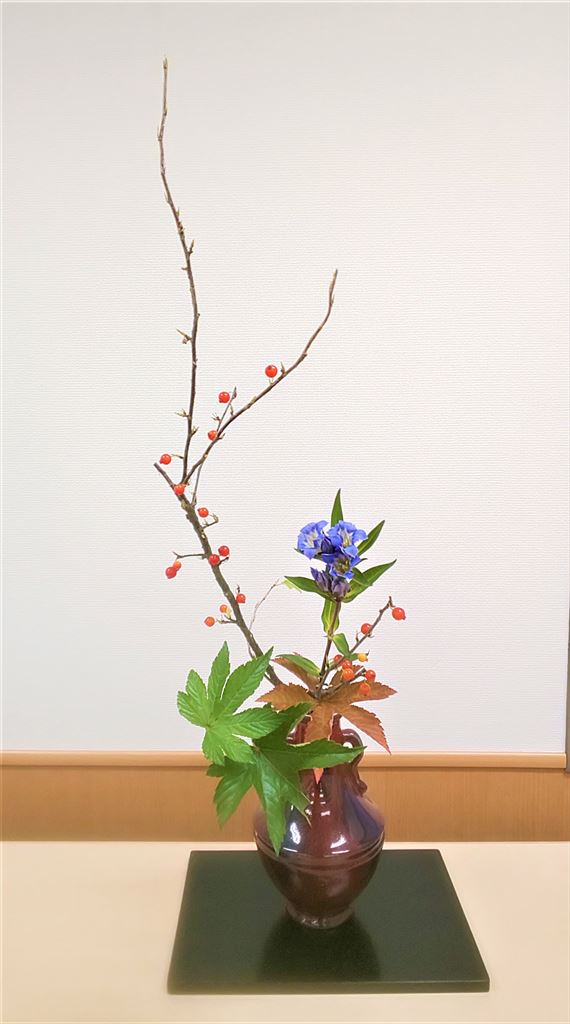 野崎先生見本花（小品花）