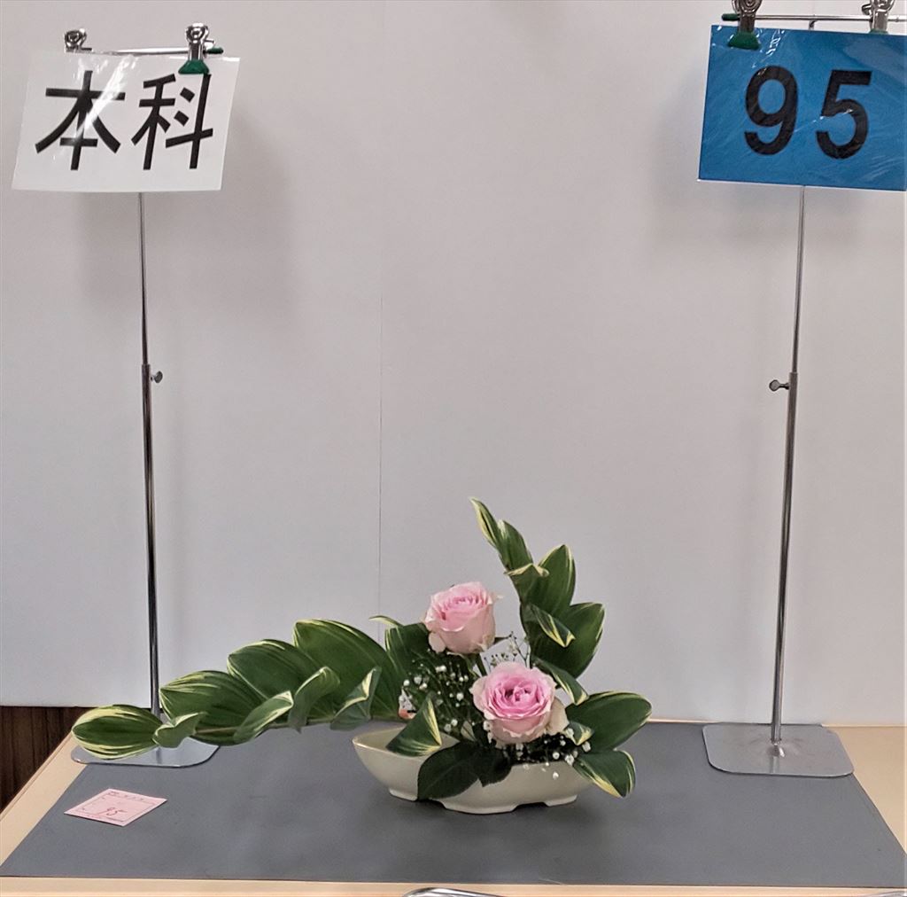 参考花本科