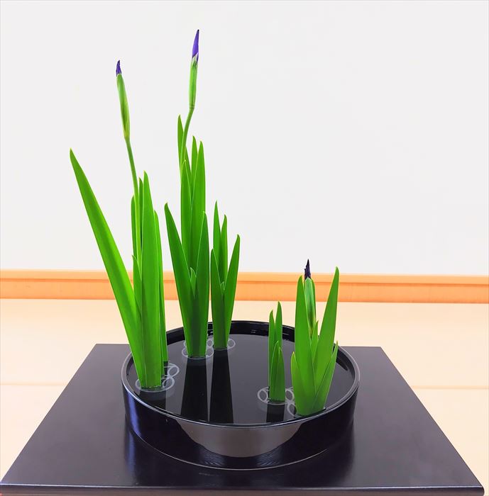 見本花
