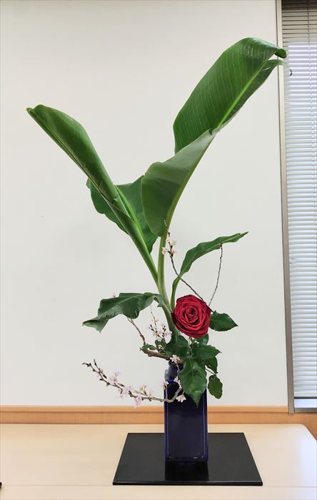 見本花①