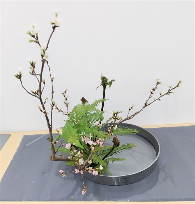 一級脇