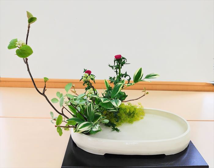見本花