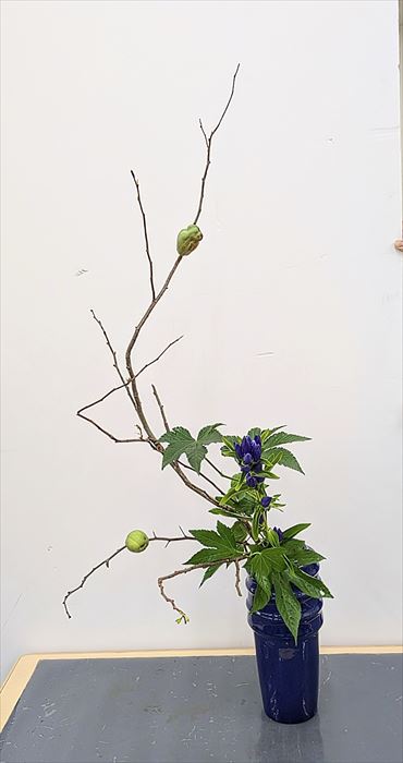 一級B